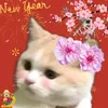 meischun