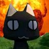 katt.k4tt