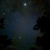 morningstar.31