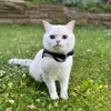 xhevdothecat