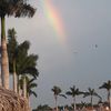 pedrovargas048