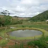 belmaciel263