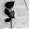 bint_ehawa19