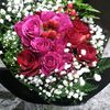 noufa511