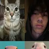 nokianikko