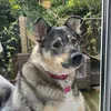 juliehardy87