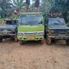 mardianto073