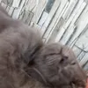 sjsljhsmjx5bsbhdmdkkc