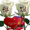 user7115243876182