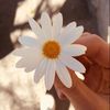ndiehdbysyzien