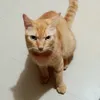 yawkunab3h