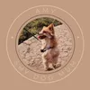 shydogmumshop