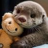 belletheotter