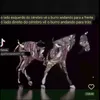 casaterranova02
