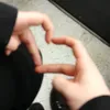 fml001