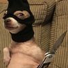 tu_loca167