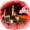 aliabbas21571