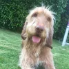 waltertgj