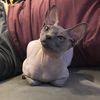 nakeyblue