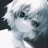 lisky_002