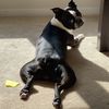 Gracie Lilly