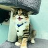 benegmail12