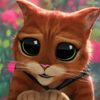 www.tiktok.elgatoconbota