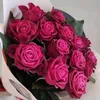 .asddg6