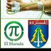 charbel.nasr2