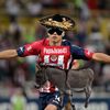 papajuan41