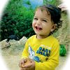niazmsd