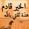 omeyadss