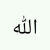shdh_imran