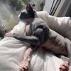 wokeupsippinwok0