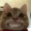 quykawaii