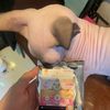 mickeybom