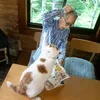 meow.mewo2102