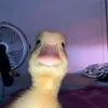userexplane__