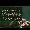 lovelygujjar197