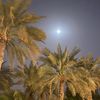 ali___9863033