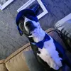 clairedadds