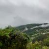 mafaldavenda