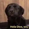 damarysaaaa