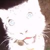 catkkidcat