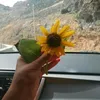 ly3simone
