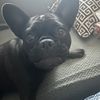 shady_betty