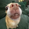 jeeyaachannn