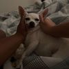 babyluvlisa