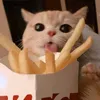 lilysmy33