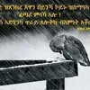 wedihzbawignbar33